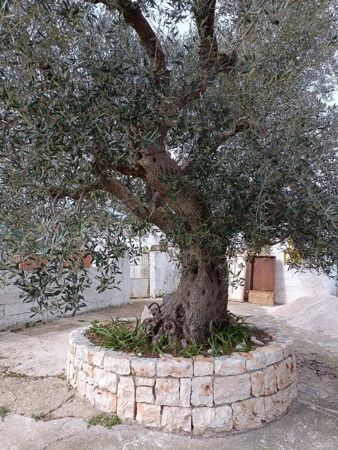Casetta Wetto' Monopoli Esterno foto
